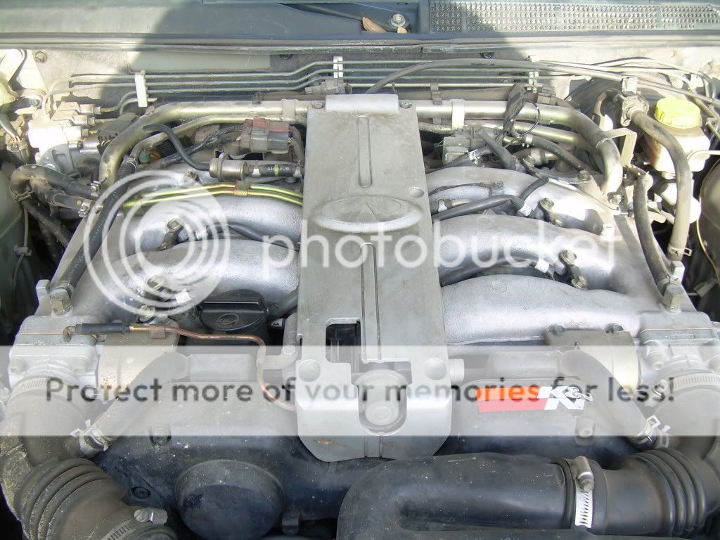 Timing Belt Ticking Noise at Sandy Harris blog