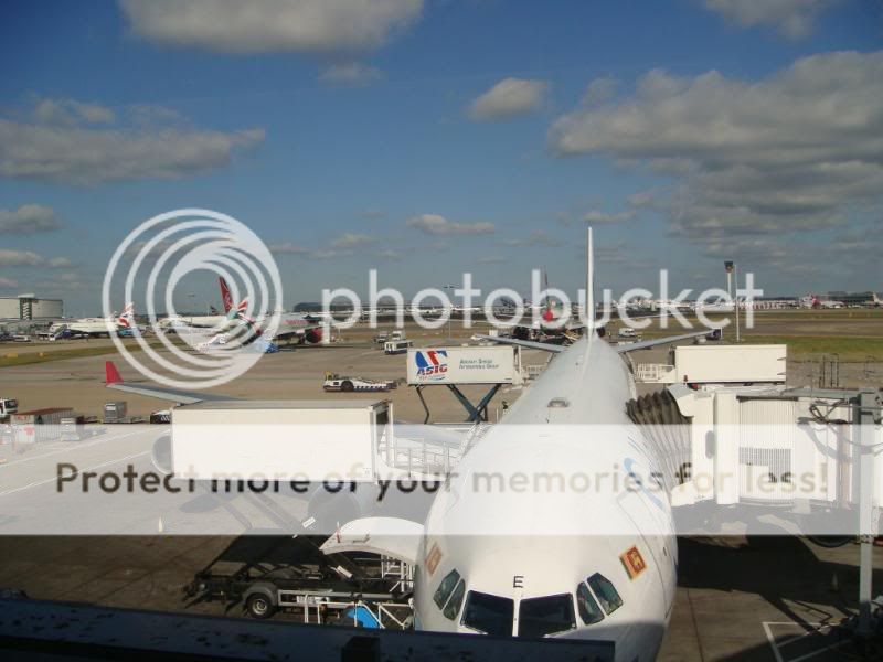 http://i453.photobucket.com/albums/qq255/kaneporta1/DSC01912.jpg