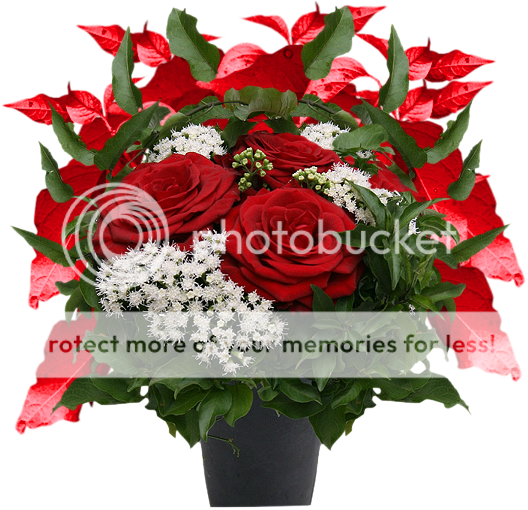 http://i453.photobucket.com/albums/qq257/fuentedevida7_2008/flores/5.png?t=1301993675