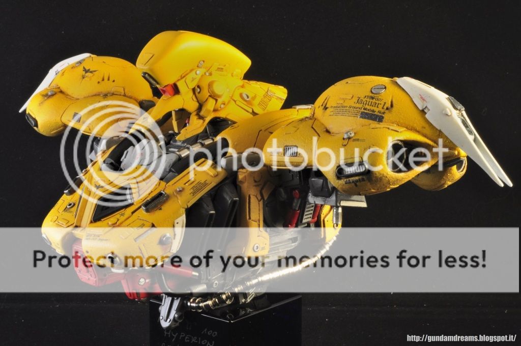 http://i453.photobucket.com/albums/qq258/aor_or_die/_DSC3926.jpg