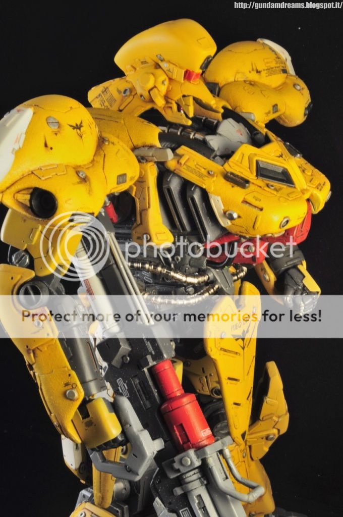 http://i453.photobucket.com/albums/qq258/aor_or_die/_DSC3974.jpg