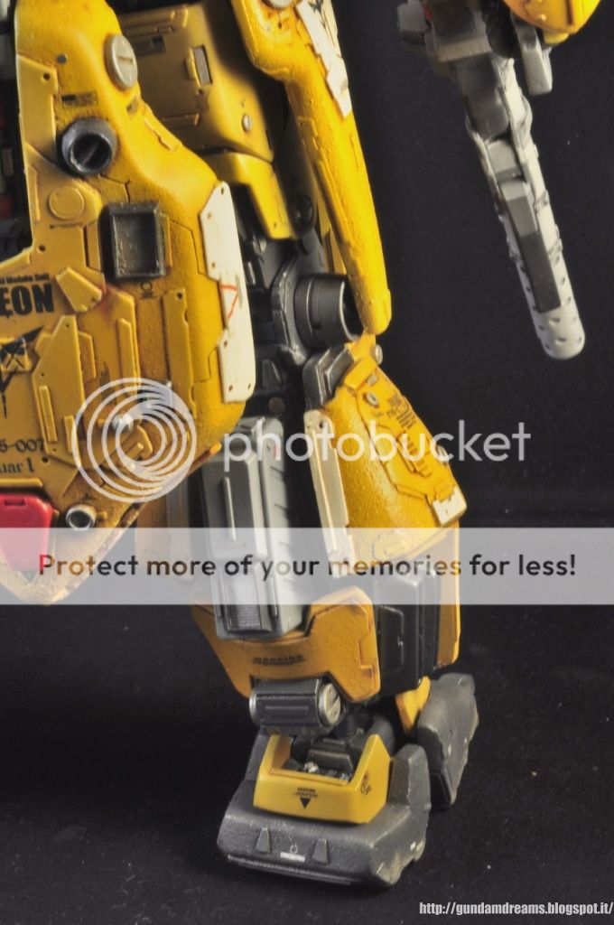 http://i453.photobucket.com/albums/qq258/aor_or_die/_DSC3985.jpg
